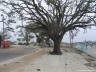 Hurricane Katrina Picture